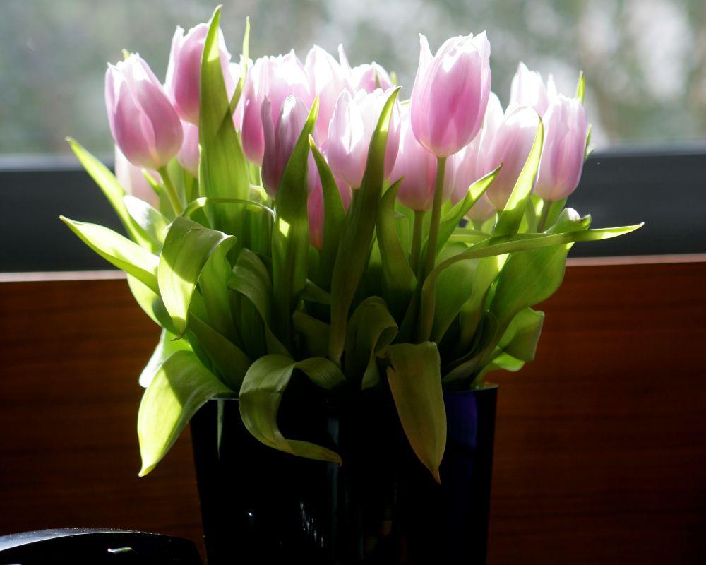 فندق ذه فيتسويليام دبلن المظهر الخارجي الصورة Tulips